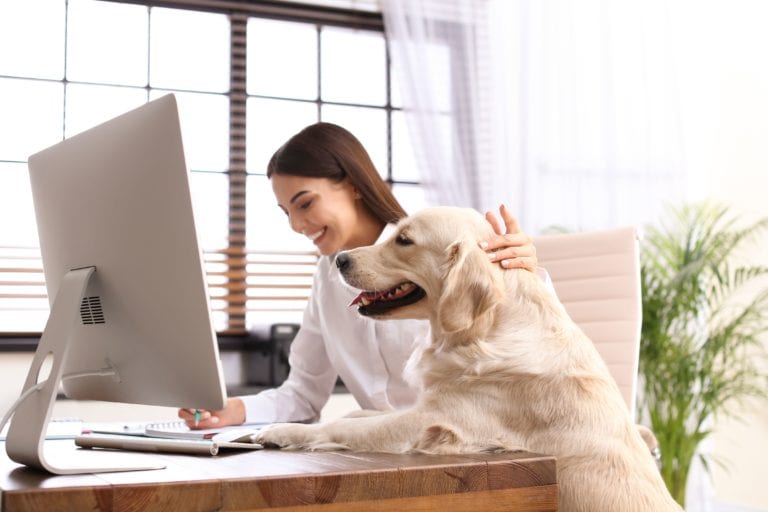 Working from home