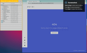 Take a desktop screenshot on Windows PC and Mac