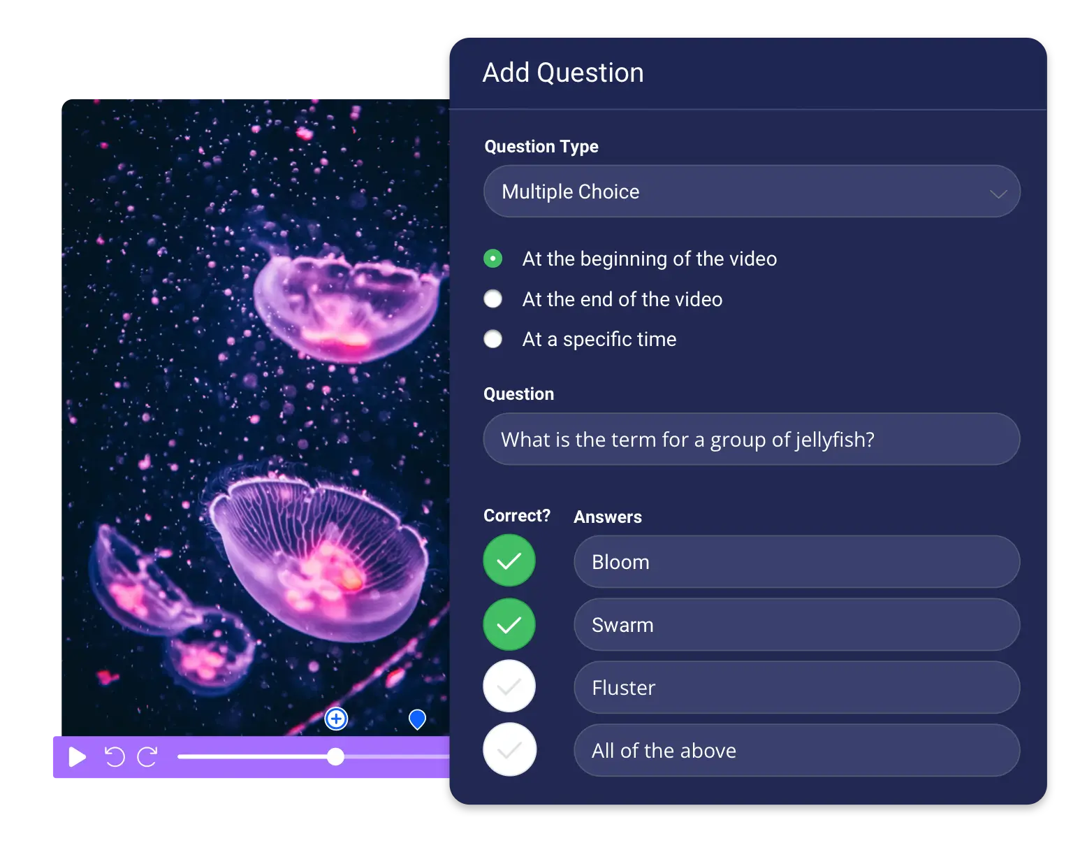 create interactive quizzes easily